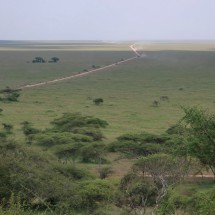 Serengeti seen from the viewpoint on its western entrance